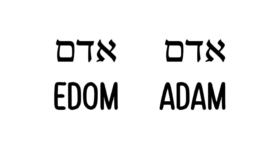 The Hebrew wordplay: Edom (אֱדוֹם), Adam (אָדָם), and Adamah (אֲדָמָה) share the same root
